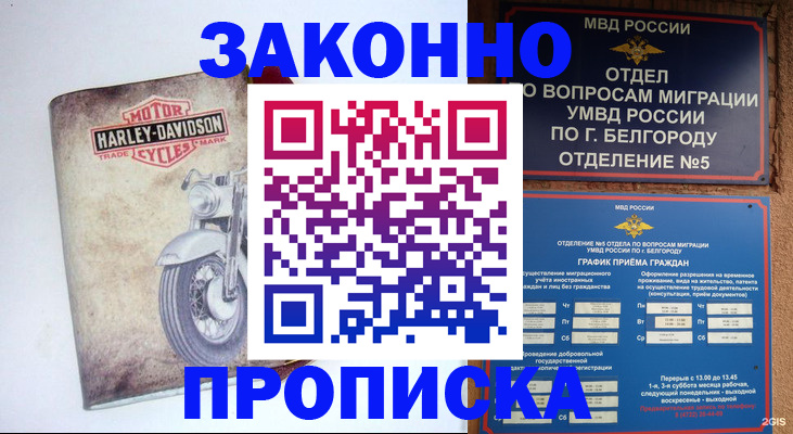 прописка для школы в Отрадном